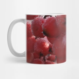 Mountain Ash Berries a Cold  and Frosty November Morning Mug